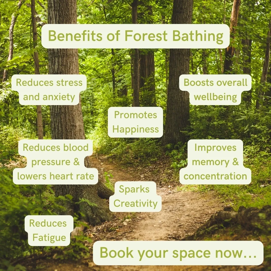 Diagram showing benefits of forest bathing like stress reduction and increased happiness.
