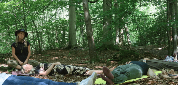 People meditating in a serene forest setting